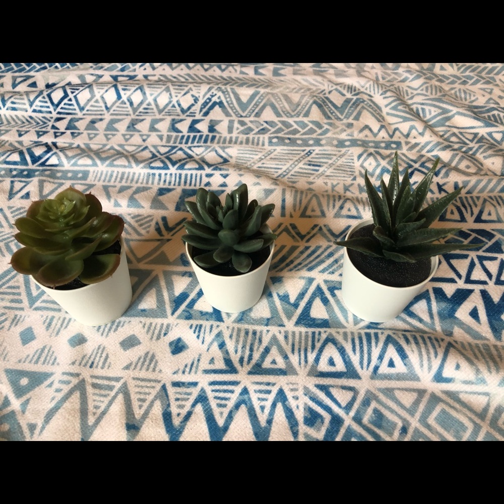 faux succulents